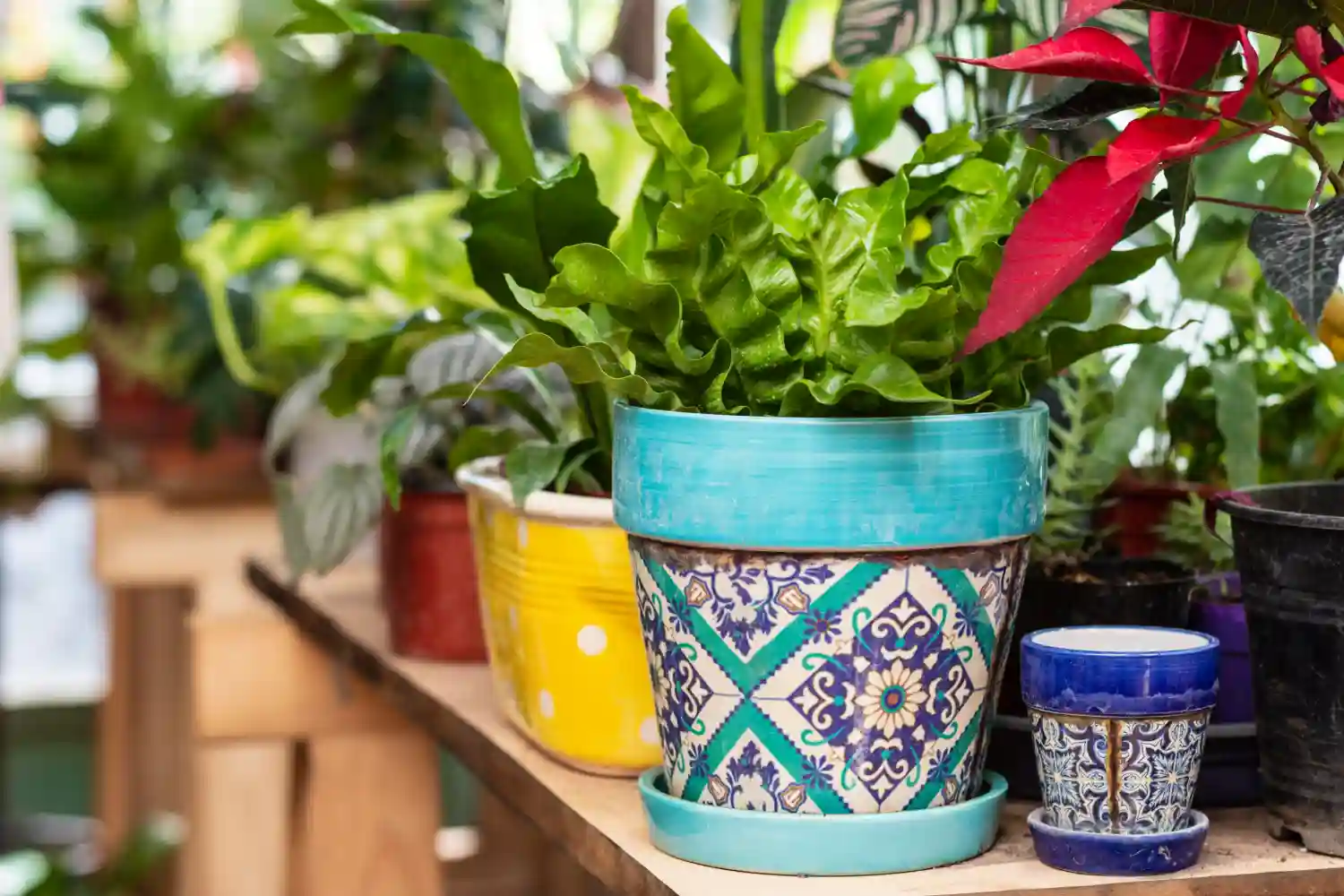 Transform Your Garden: 8 DIY Decor Ideas to Bring Your Outdoor Space to Life